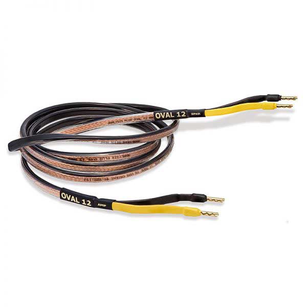 Analysis Plus Oval 12  3m