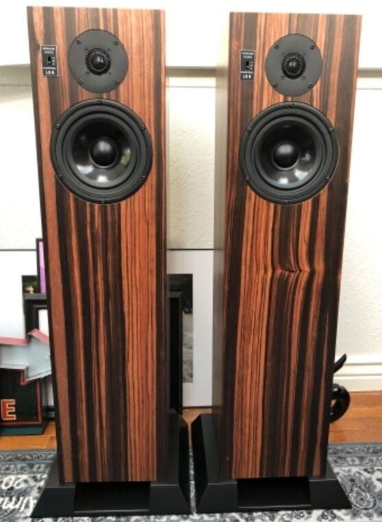 Graham LS6F, Ebony